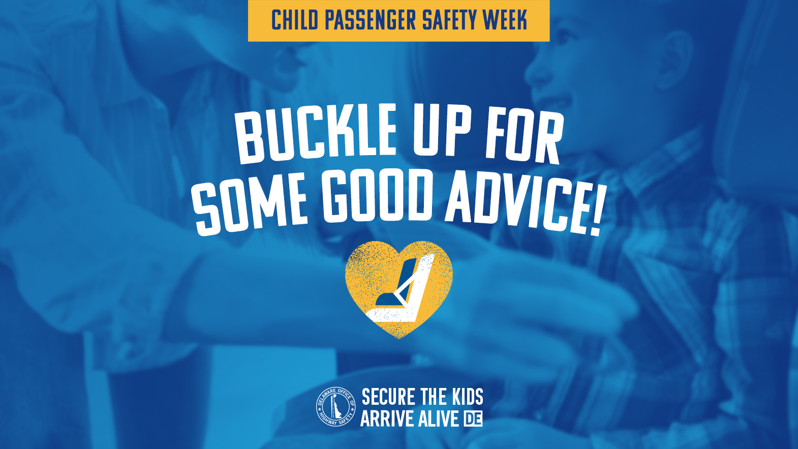 Buckle Up for Some Good Advice!