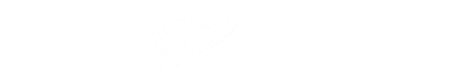 ClickIt or Ticket logo, AAA logo, Buckle-Up Arrive Alive DE logo